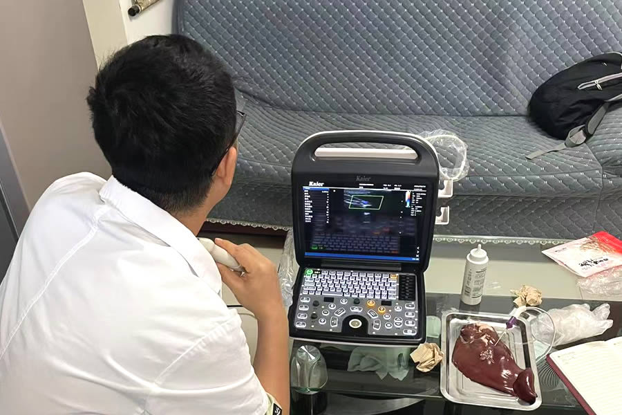 凱爾超聲分析腹部B超和陰道B超有什么區(qū)